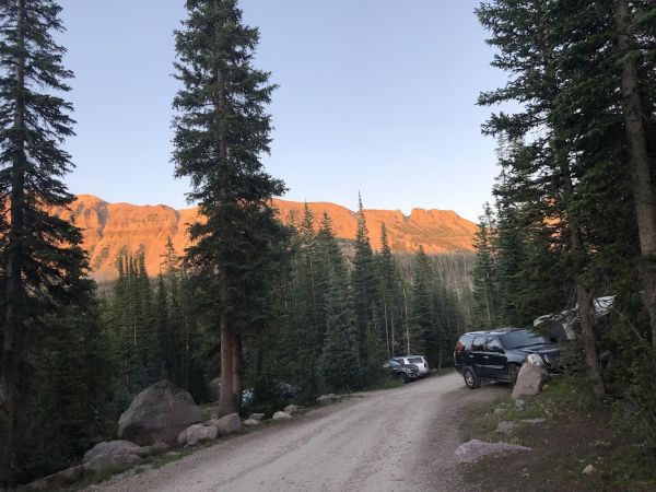 Butterfly Campground