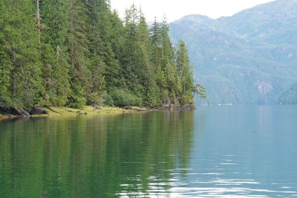 CHECATS LAKE CABIN