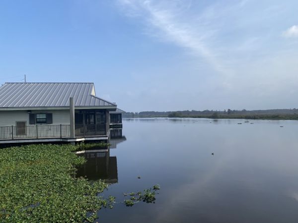 Bayou Segnette State Park