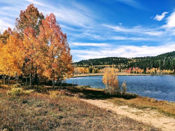 DUCK CREEK