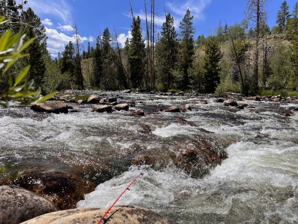 East Fork Bear River Campground (Uinta-Wasatch-Cache National Forest, UT)