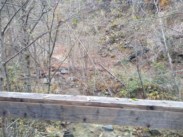 FRENCH GULCH