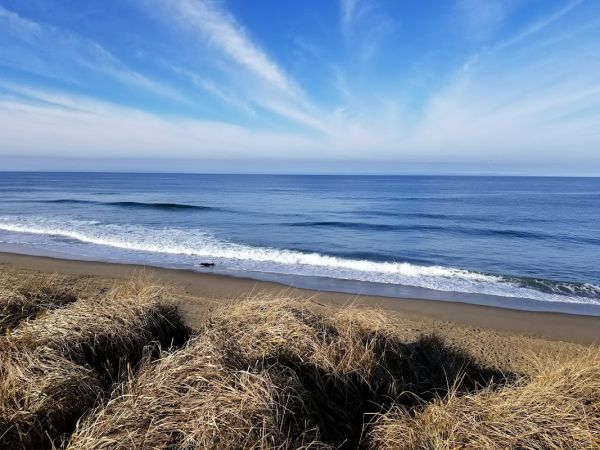 HORSFALL BEACH