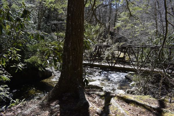 Upper Chasteen #48