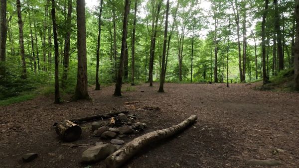 Lost Cove #90
