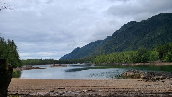 PHOCENA BAY CABIN