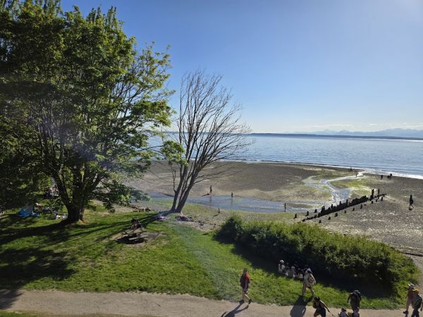 PICNIC POINT (ID)