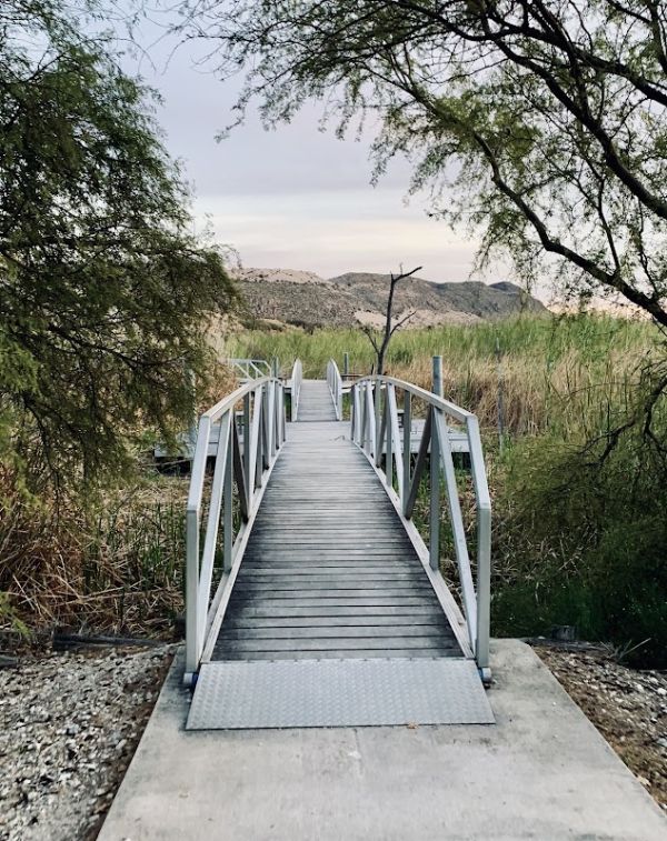 Rio Grande Village Group Campground (Big Bend, TX)