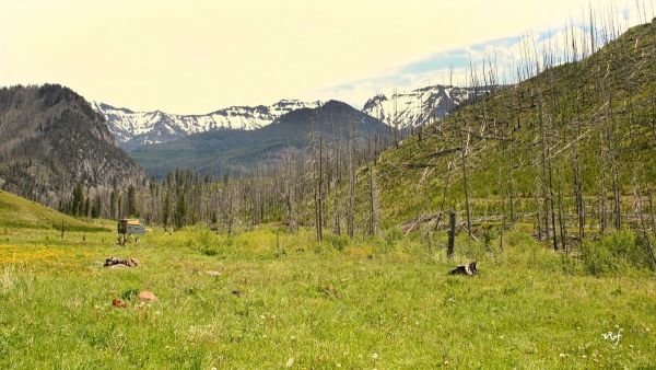 SNOWBANK CAMPGROUND