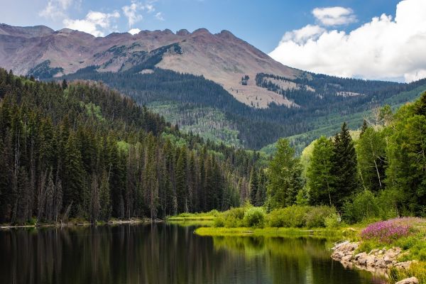 Woods Lake