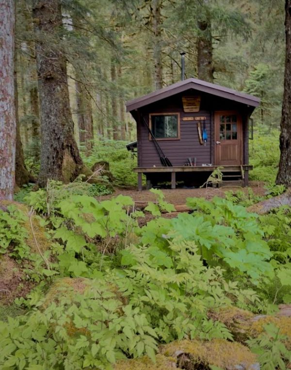 YOUNG LAKE (SOUTH) CABIN