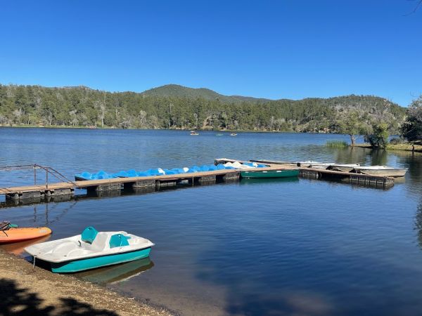 Lynx Lake Marina & Store Boating Site