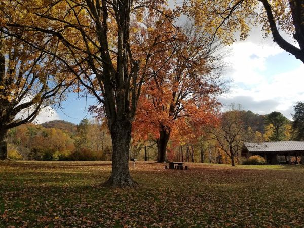 Watauga Lake Area