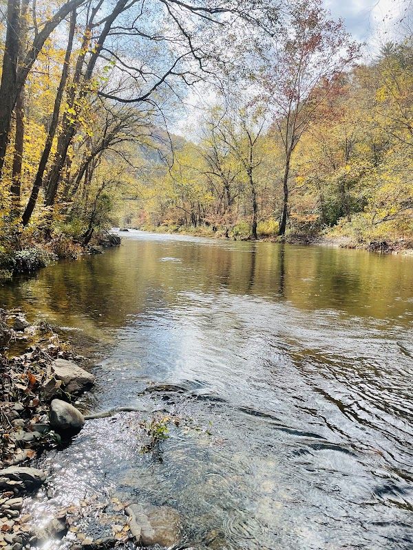 Pigeon River Area