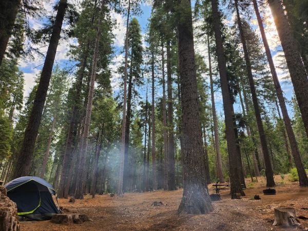 Chilkoot Campground