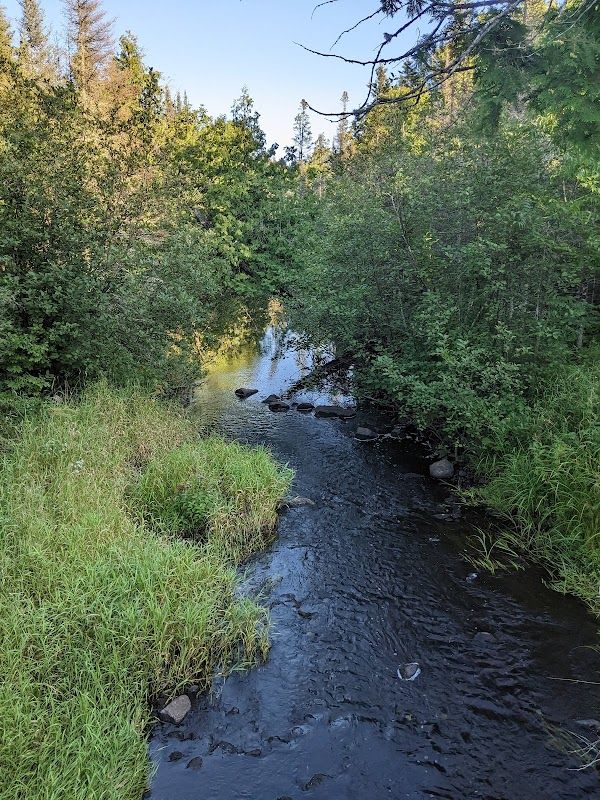 Rice Lake