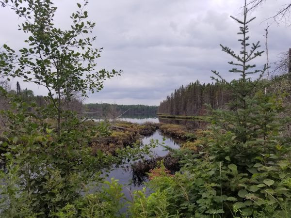 Homer Lake
