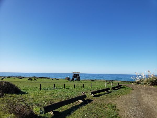 Abalone Point