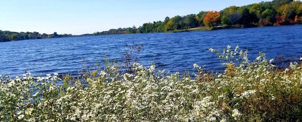 Prairie Rose State Park East Campground
