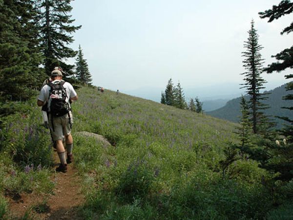 Sweet Home Ranger District (us Highway 20)