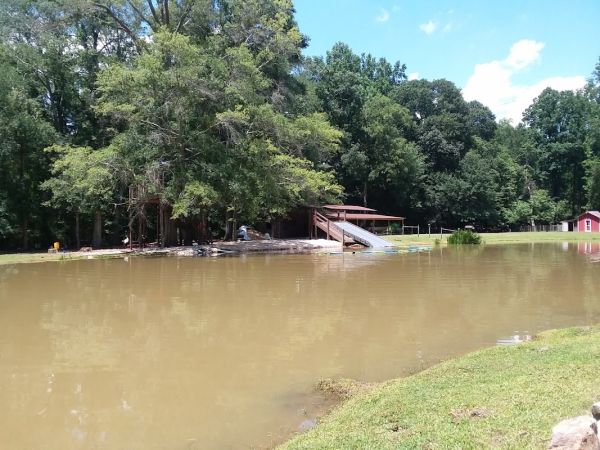 Country Day Camp