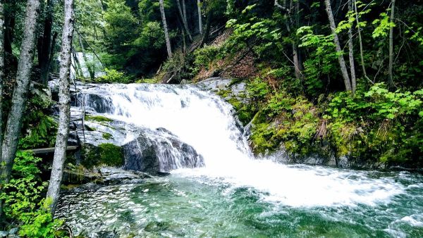 Brandy Creek