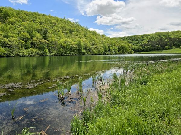 Sidie Hollow County Park Ridge Campground