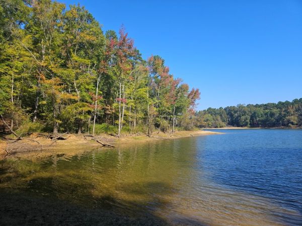 Bullocksville Park