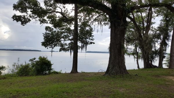 Seminole Lodge