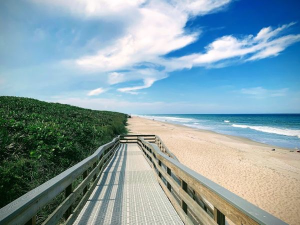 Canaveral National Seashore Turtle Watch Tours