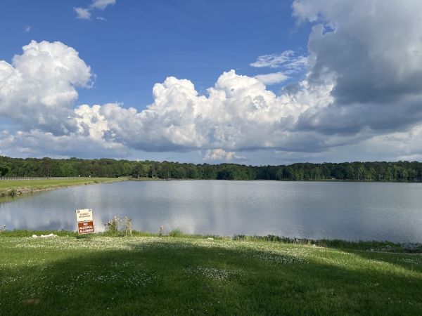 Natchez State Park