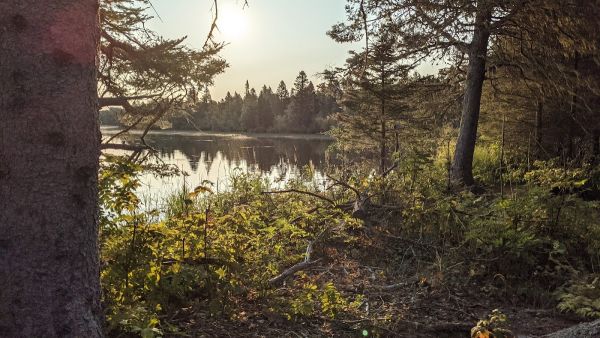 Feldtmann Lake