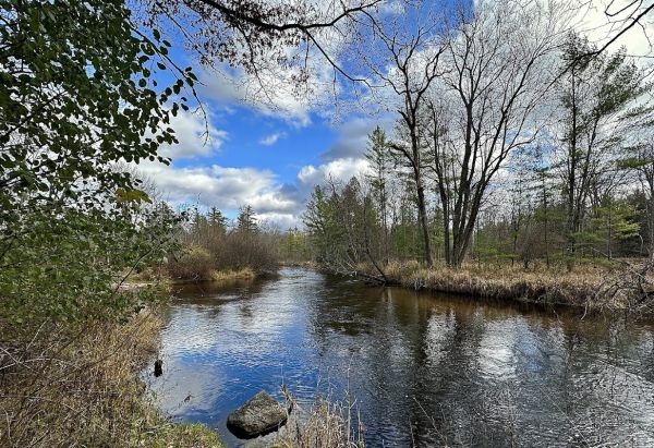 Gleasons Landing Campground