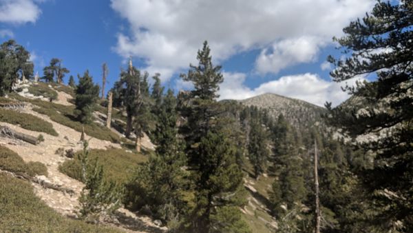 High Creek Camp