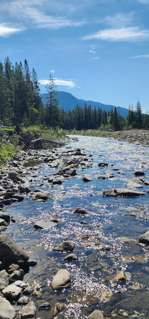 Mist Creek Meadows