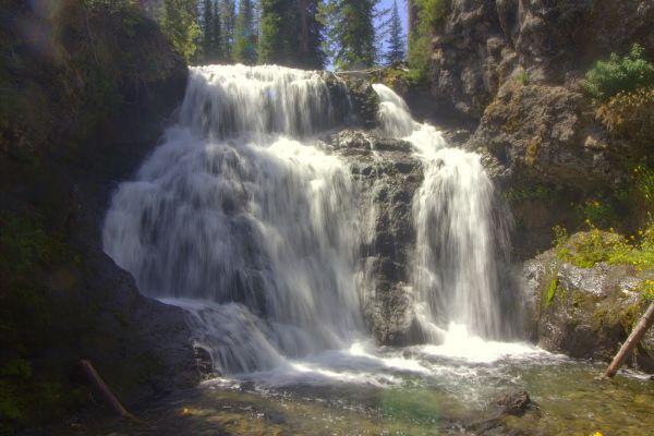 Ferris Fork