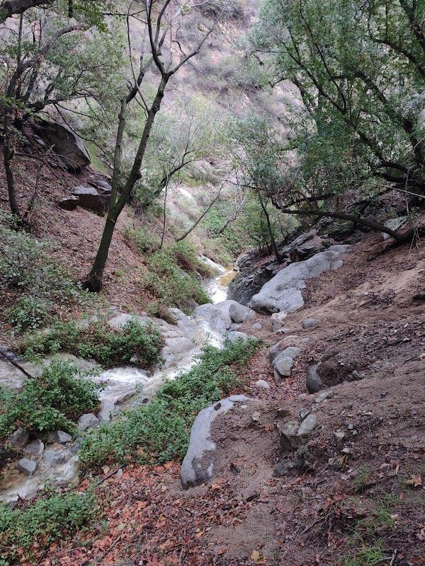 Orchard Camp