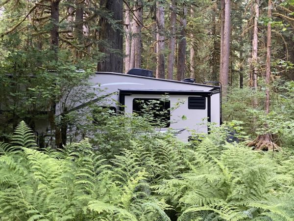 Marble Creek Camp