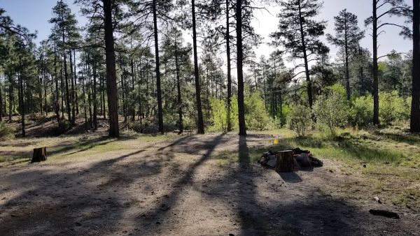 Dispersed Site 7