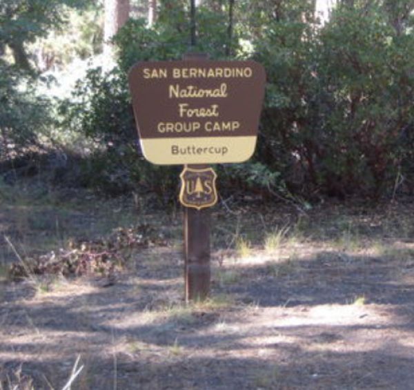 Buttercup Group Camp