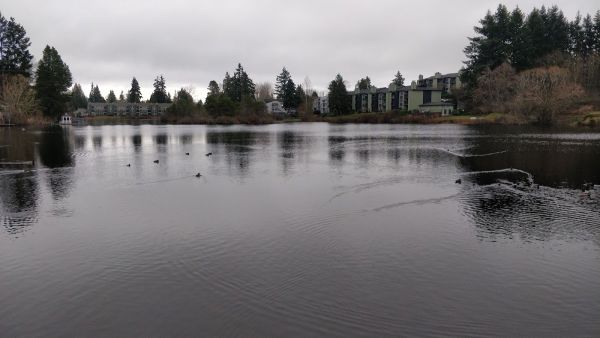 Lakeview Terrace