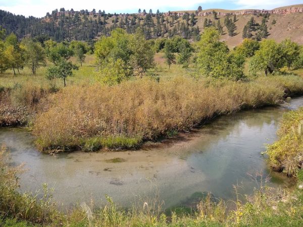 Sand Creek Public Access -West Oxbow - WGF