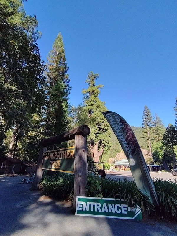 Madrone Campground