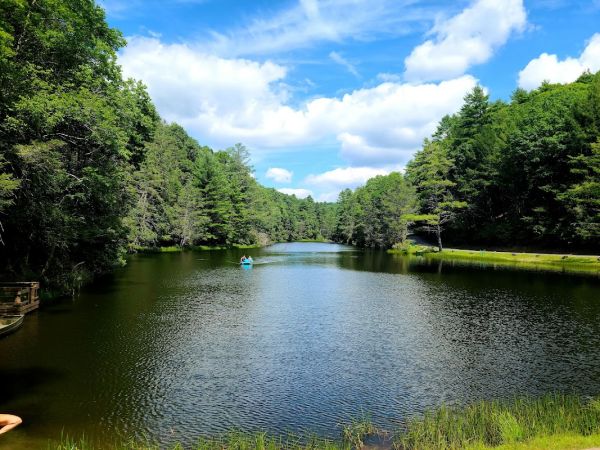 Seneca State Forest