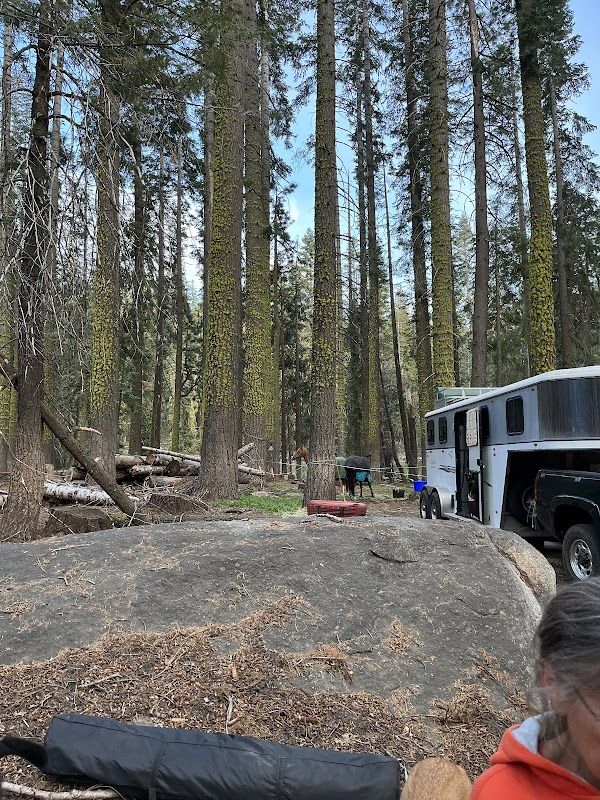 Arnold Horse Camp