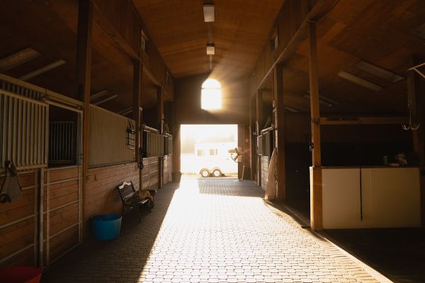 Blue Oak Horse Camp