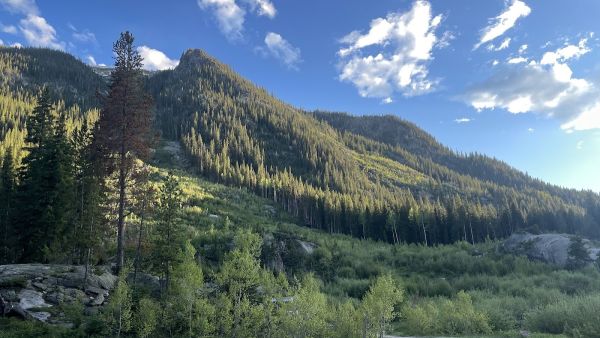 Dispersed Camping