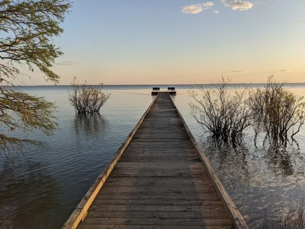 Pettigrew State Park Group Campground