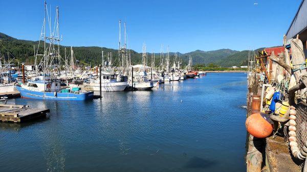 Barview Jetty County Campground
