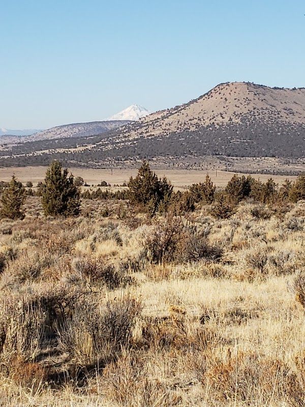 Cyrus Horse Camp